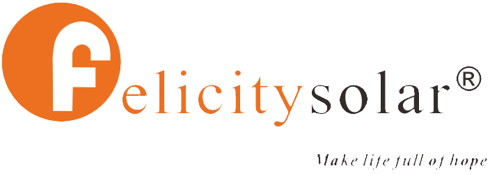 Felicity Solar Logo
